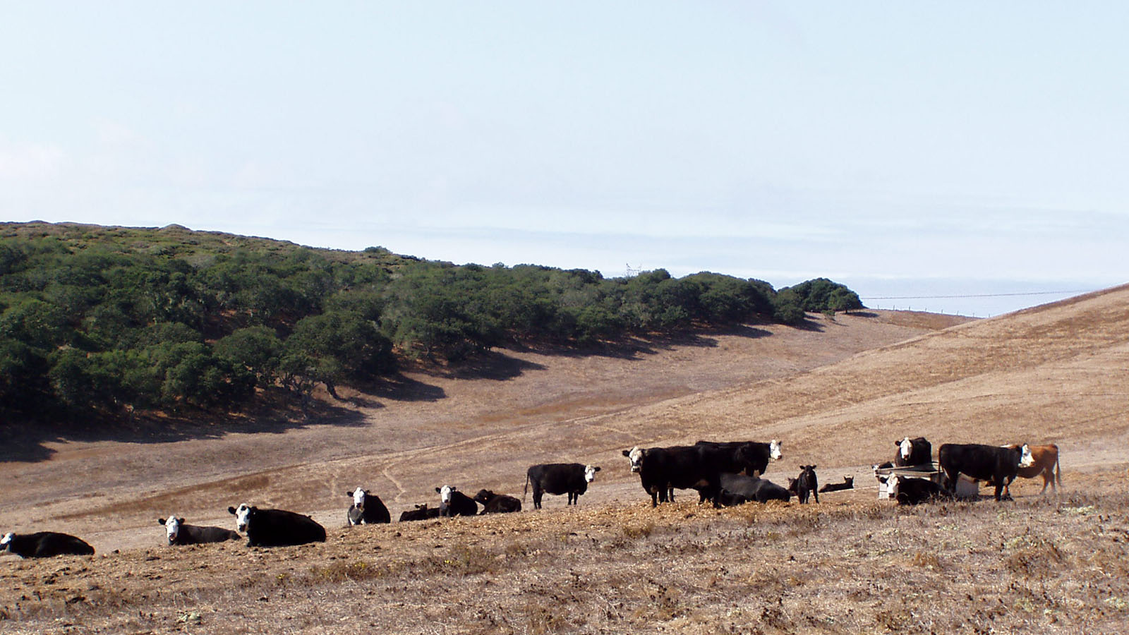 Tonini Ranch – San Luis Obispo, California